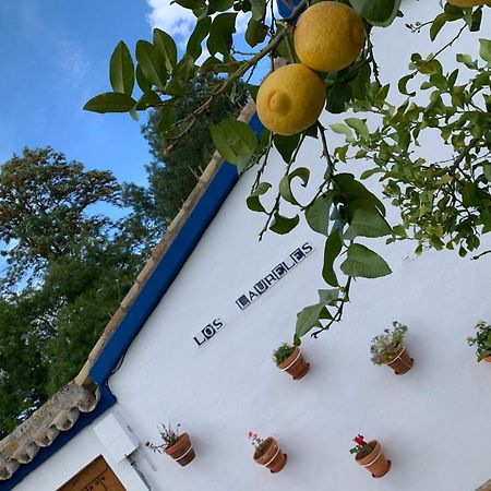 Casa Los Laureles Пилас Экстерьер фото