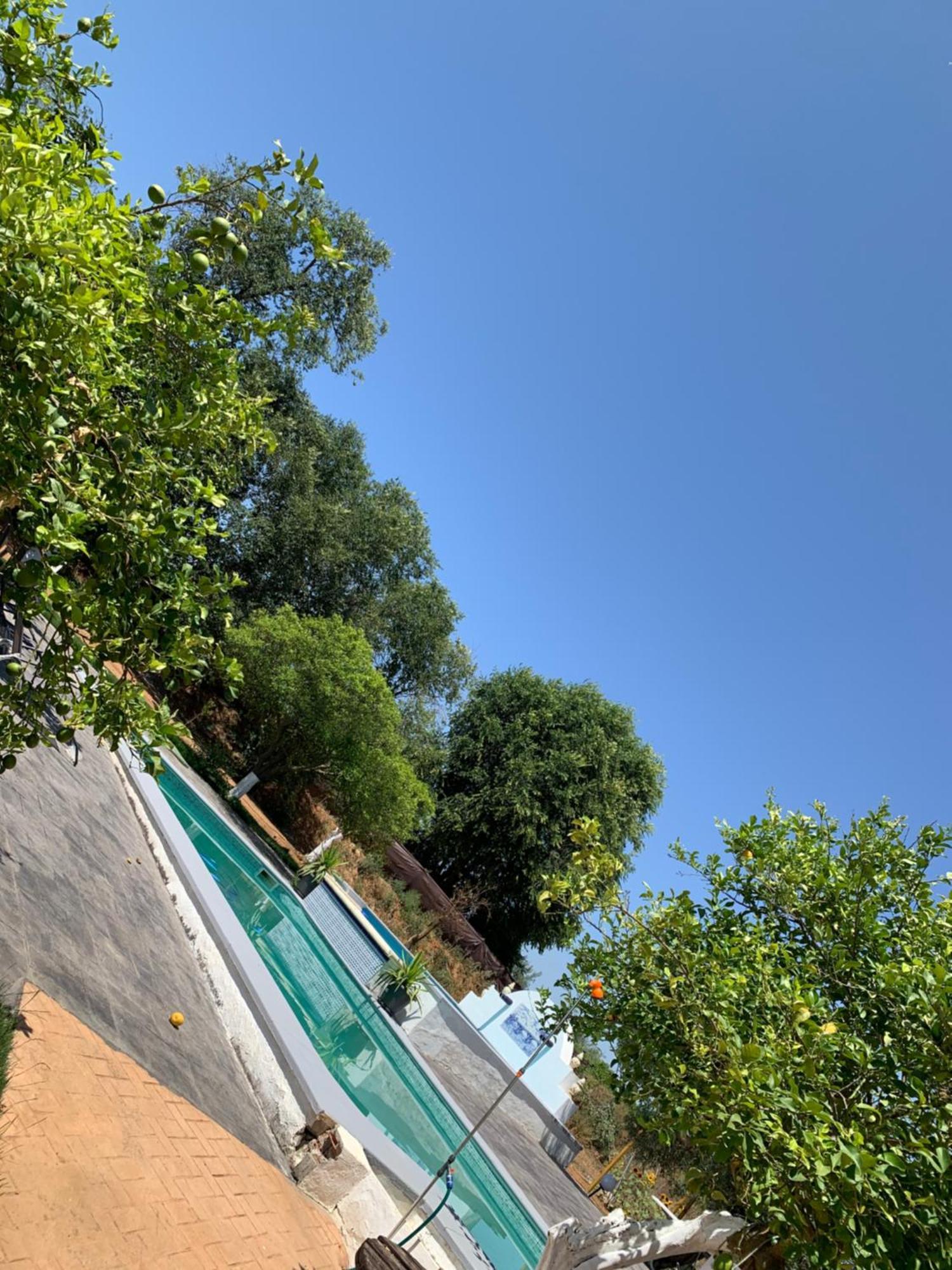 Casa Los Laureles Пилас Экстерьер фото