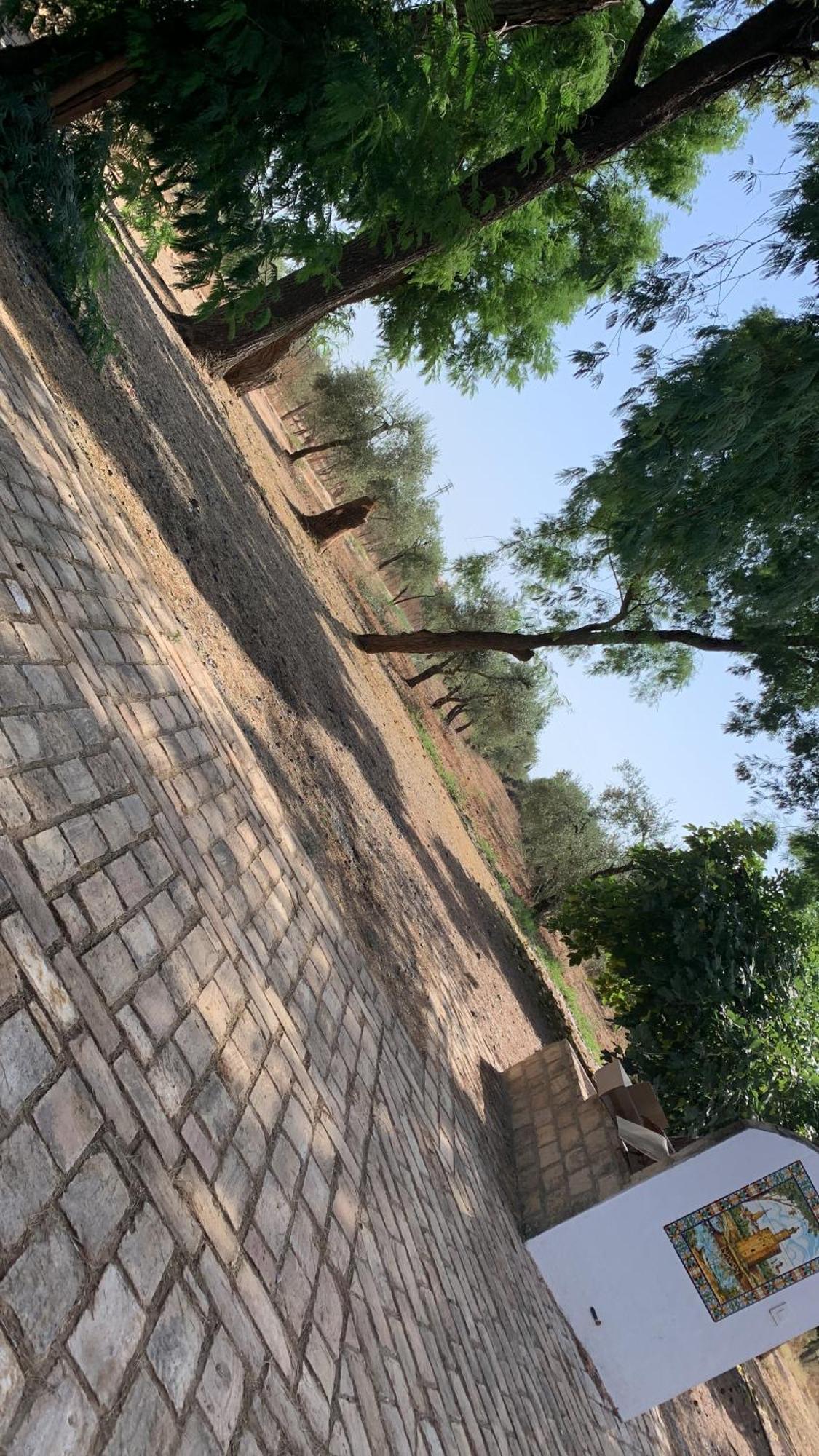 Casa Los Laureles Пилас Экстерьер фото