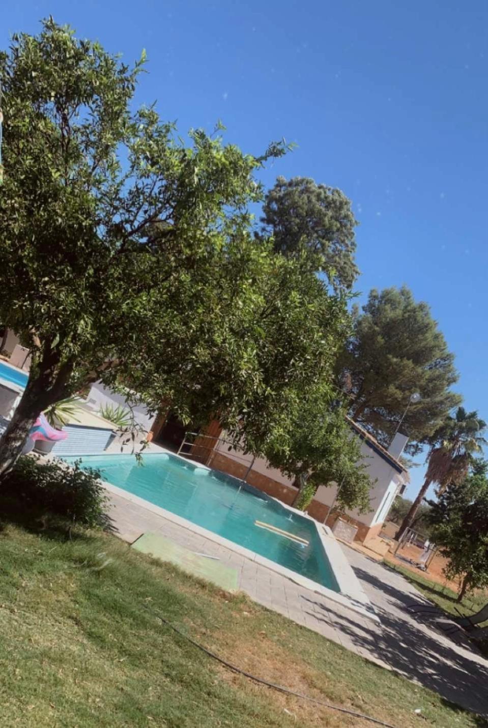 Casa Los Laureles Пилас Экстерьер фото